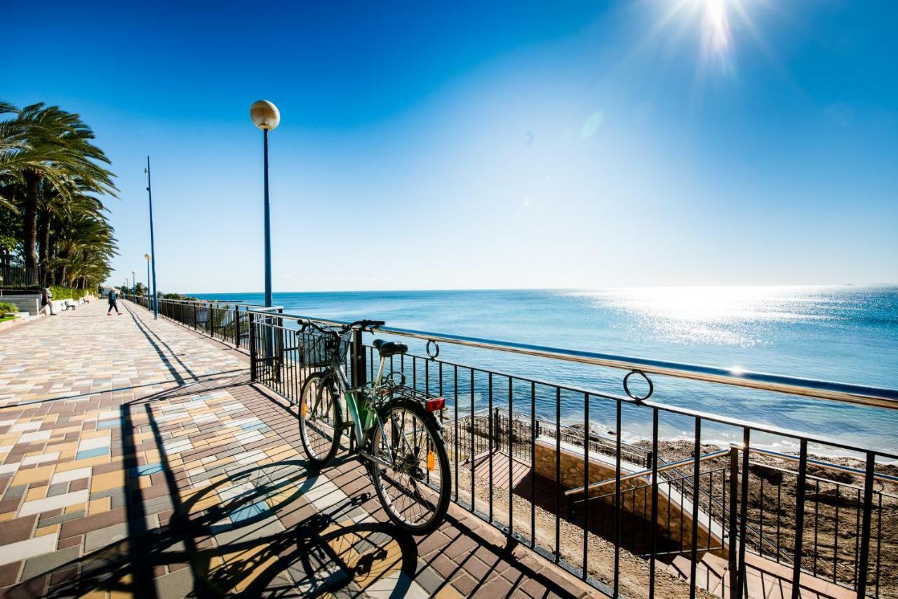 Apartamento "Blue" Muy Cerca Del Mar Torrevieja Eksteriør billede